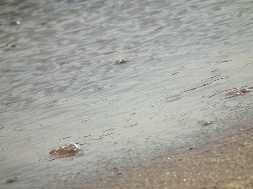 Тарас Бененко фотография #35