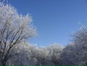 Фотография Зайцева Артёма