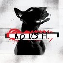 Андрій Ковш фотография #1