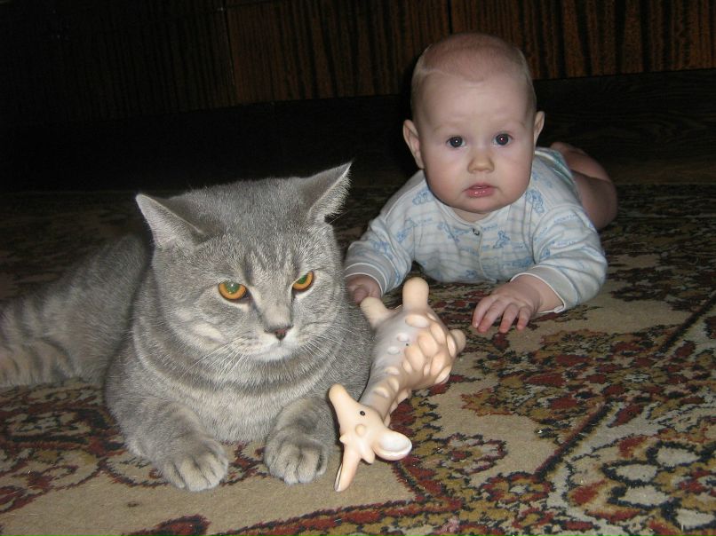 Сергей Смирнов фотография #2