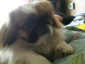 Фотография Rdkn Vladimir