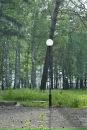 Фотография Пелипаса Артёма