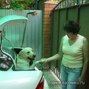 Зоя Тарасова_aверьянова фотография #1