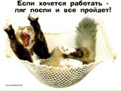 Фотография Пичужкина Андрея