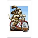 Фотография Седых Алексея