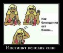 Игорь Темник фотография #10 (источник - https://vk.com/id96615668)