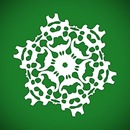 Настя П'єх фотография #32 (источник - https://vk.com/id144494844)