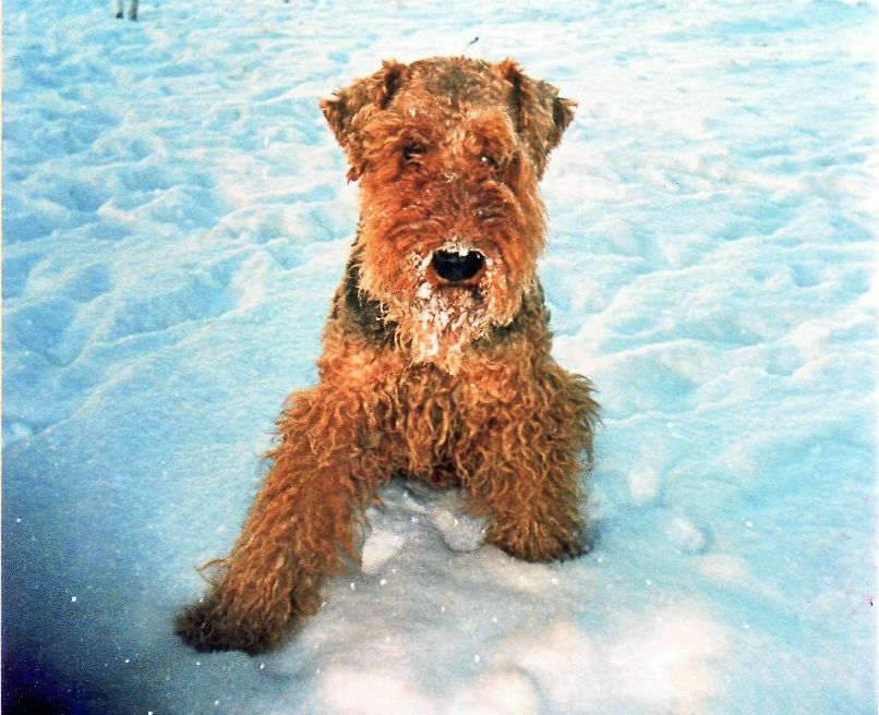 Сашка Пасынков фотография #48