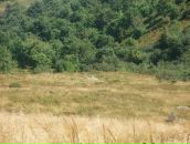 Міша Данилів фотография #18 (источник - https://vk.com/id122798103)