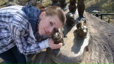 Фотография  