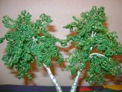 Іра Сидорчук фотография #7 (источник - https://vk.com/id62536432)