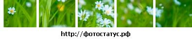 Фотография Виктория