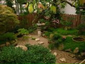 Alexey Dushen фотография #25 (источник - https://vk.com/id670180)