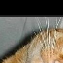 Ірина Пасічник фотография #35 (источник - https://vk.com/id89136098)