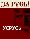 Вітя Янукович фотография #4 (источник - https://vk.com/id155962388)