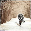 Фотография Ковтун Натальи