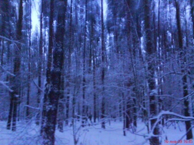 Егор Орлов фотография #23