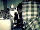 Только Твой❤ фотография #29 (источник - https://vk.com/id147490571)