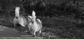 Фотография Сафиной Сабины