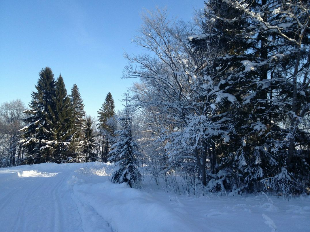 Лена Молодяну фотография #15