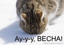 Іванка Мазурняк фотография #31 (источник - https://vk.com/id165470720)