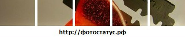 Юлія Цимбалюк фотография #40 (источник - https://vk.com/id71671981)