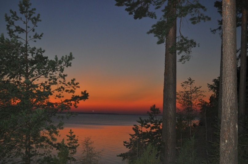 Dima Krasilnikov фотография #36