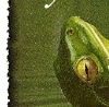 Dетk☼ ツ фотография #47 (источник - https://vk.com/id152994176)