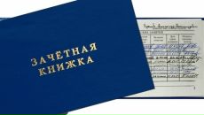 Фотография Салтаева Данилы