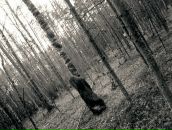 Фотография Демидовой Елены