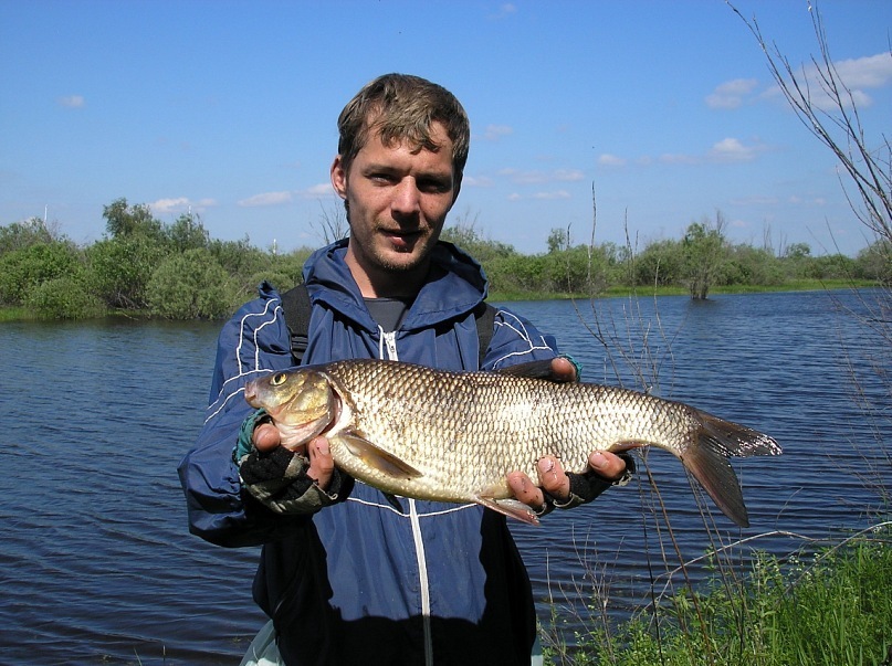 Артур Мут фотография #9