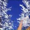 Виктор Билецкий фотография #25 (источник - https://vk.com/id24891151)