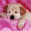 Іра Бугайчук фотография #31 (источник - https://vk.com/id136072225)