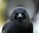 Фотография Азарченкова Виктора