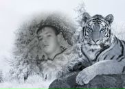 Фотография Шмитко Сергея