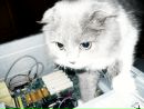 Фотография Фотограф Белгород Марины Даниловы