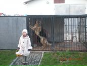 Анастасія Іванюш фотография #32 (источник - https://vk.com/id121708387)