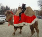 Фотография Шарановой Эльвиры