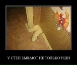 Тарас Ласоха фотография #45 (источник - https://vk.com/id26315555)