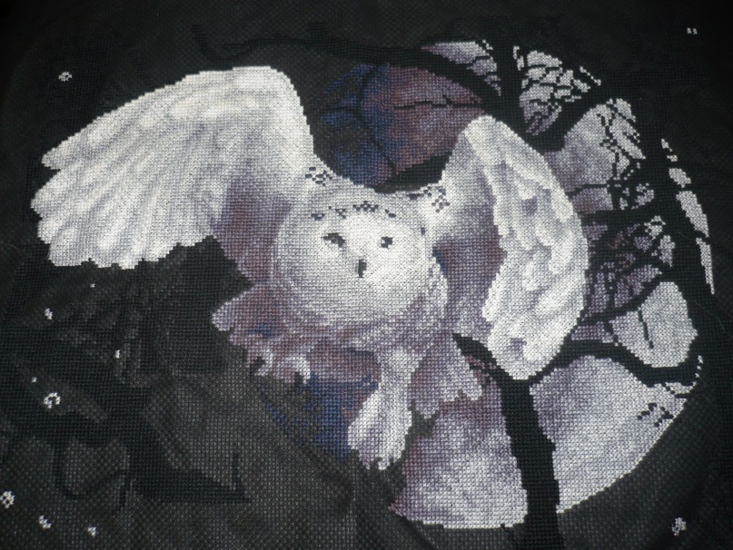 Софья Кристьян фотография #33