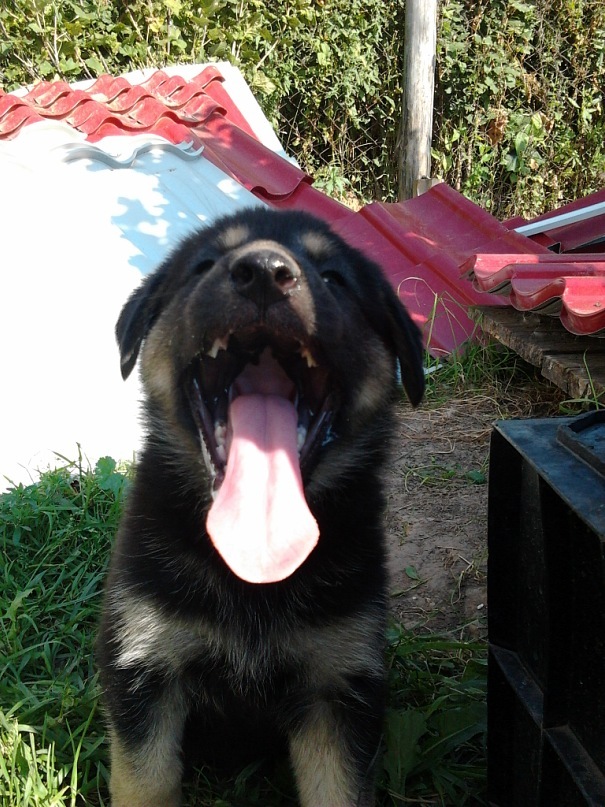 Три Ноль фотография #17