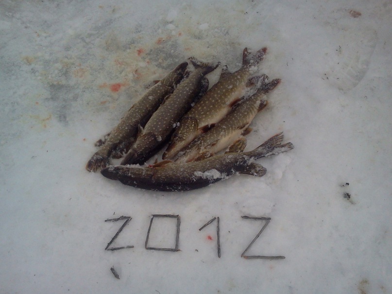 Александр Ларькин фотография #34