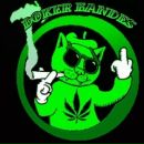 Віталік Сокіл фотография #12 (источник - https://vk.com/id143265605)