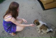 Фотография  