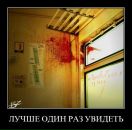 Дима Брылёв фотография #26 (источник - https://vk.com/id4919775)