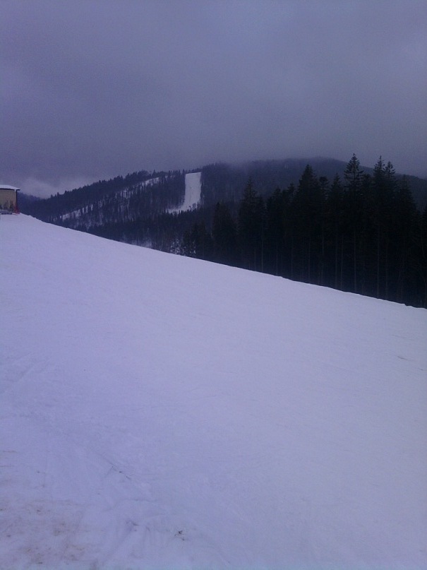 Роман Мищенко фотография #19