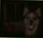 Фотография Савостьянова Сергея