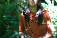 Андрій Білик фотография #42 (источник - https://vk.com/id64378444)