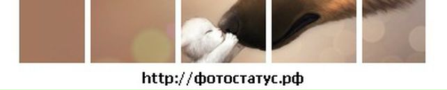 Марія Тарасюк фотография #24 (источник - https://vk.com/id8163230)