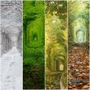 Амінка Красільнікова фотография #10 (источник - https://vk.com/id167020588)